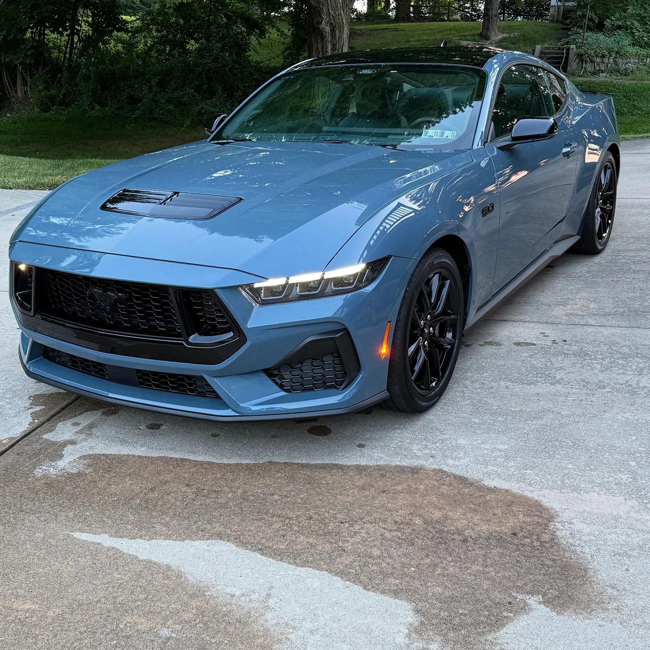 S650 Mustang Introductions & Welcome Thread 👋 4CEC6813-E1A2-425A-B770-A232C68B1495