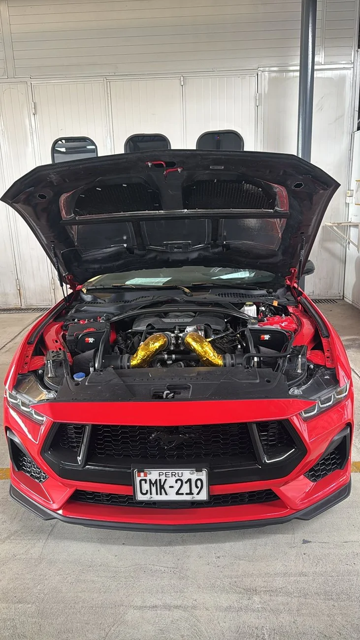S650 Mustang Hood Pins Location 1000258343