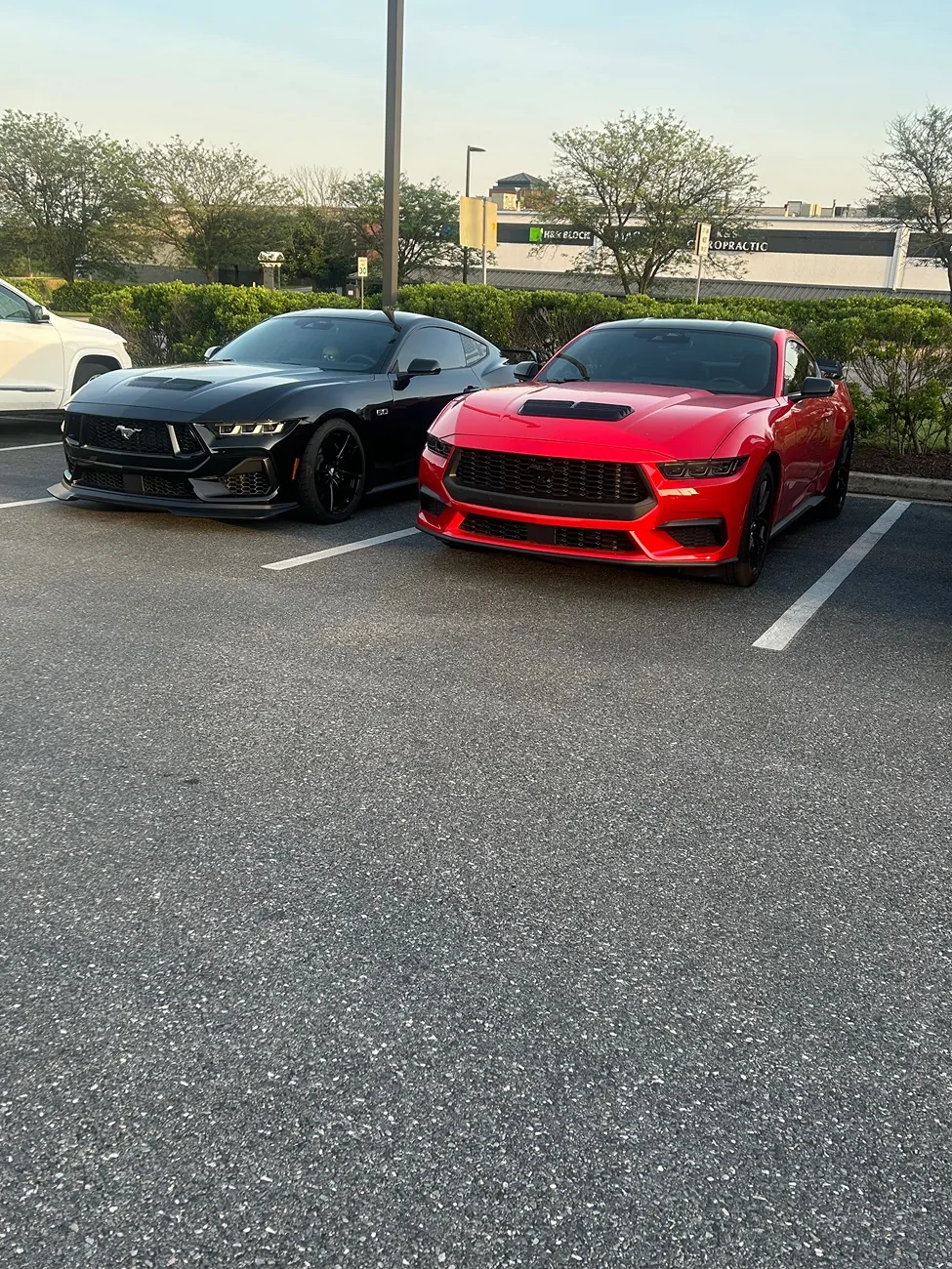 S650 Mustang I hate this hood…. more aggressive aftermarket options? IMG_3327