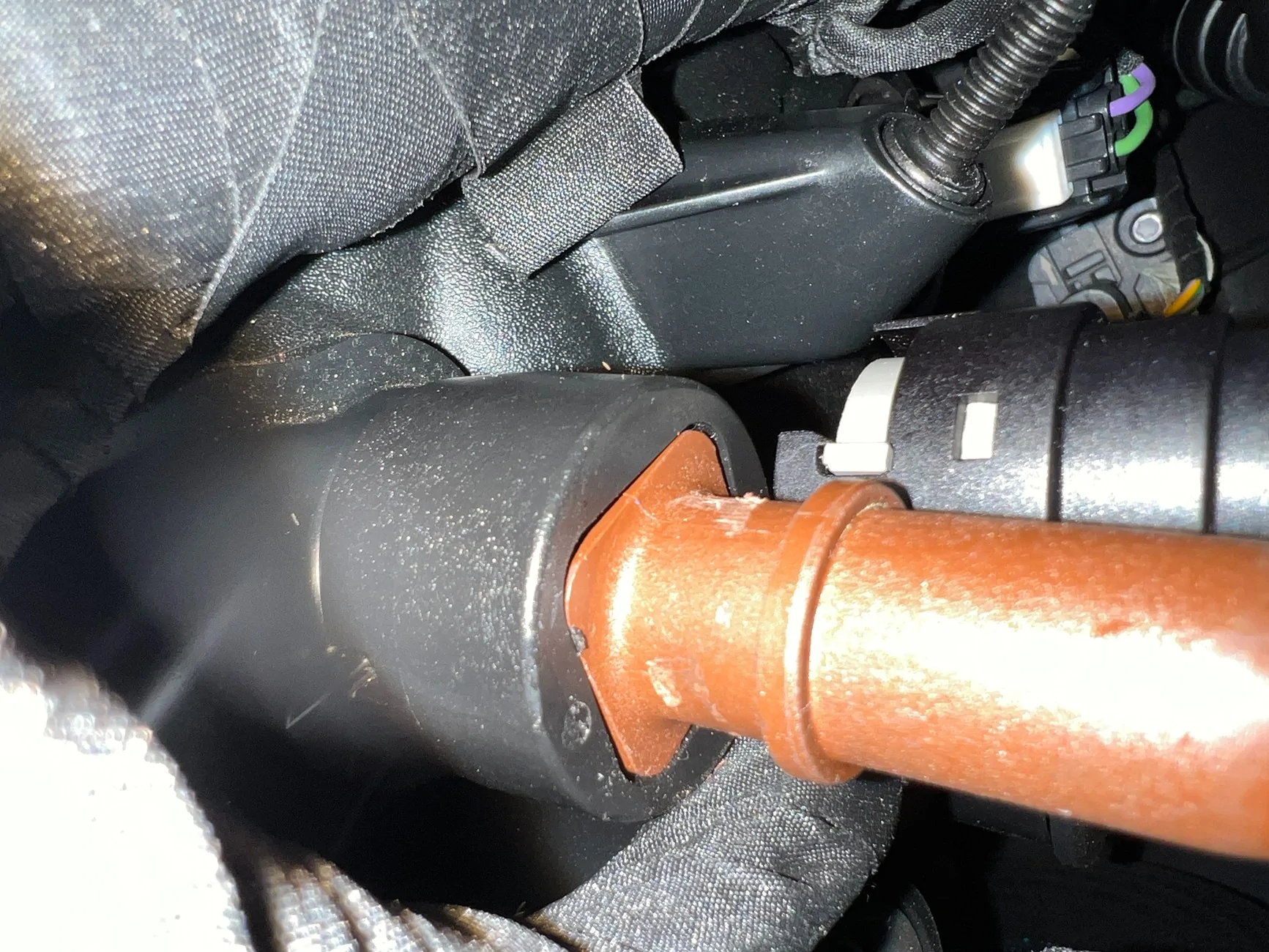 S650 Mustang Engine Noise IMG_2038