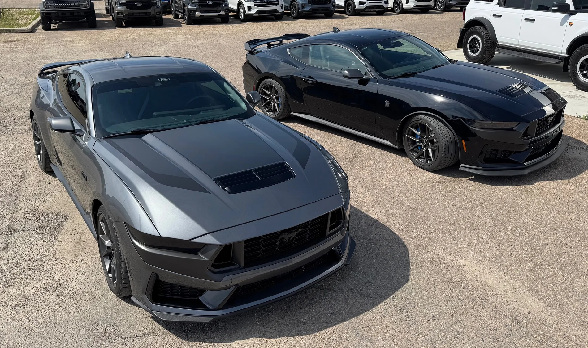 S650 Mustang Cool Daily Random S650 Mustang Pics -- Post Yours! 📸 IMG_8462
