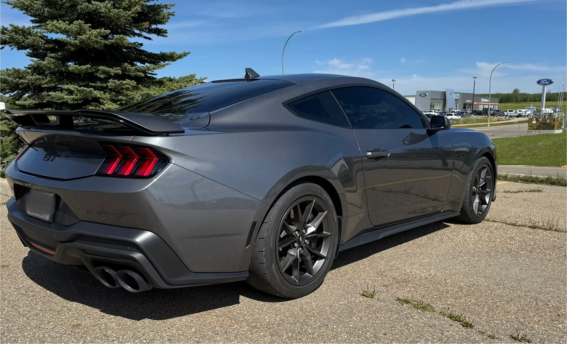 S650 Mustang Cool Daily Random S650 Mustang Pics -- Post Yours! 📸 IMG_8473