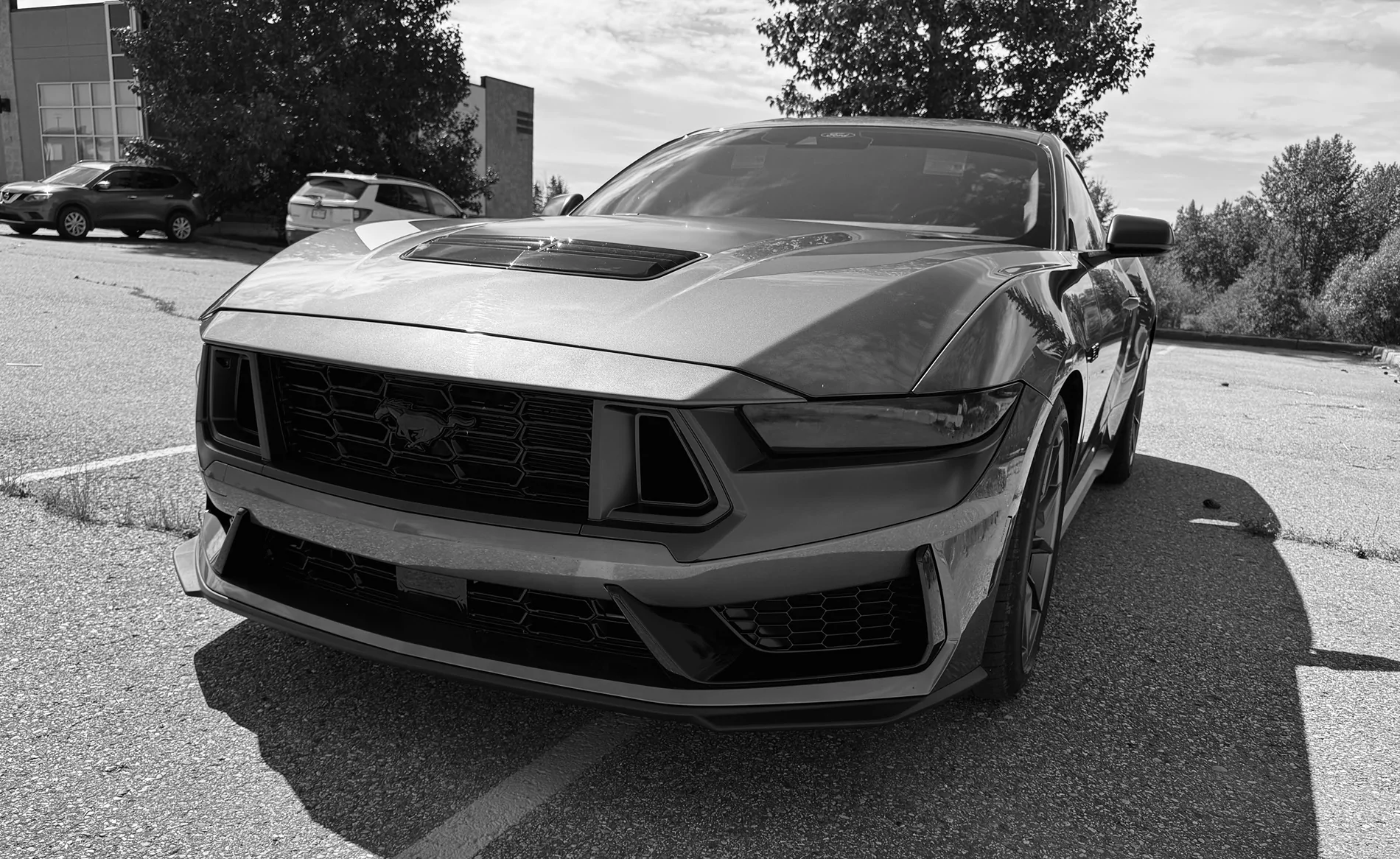 S650 Mustang Official CARBONIZED GRAY Mustang S650 Thread IMG_8478