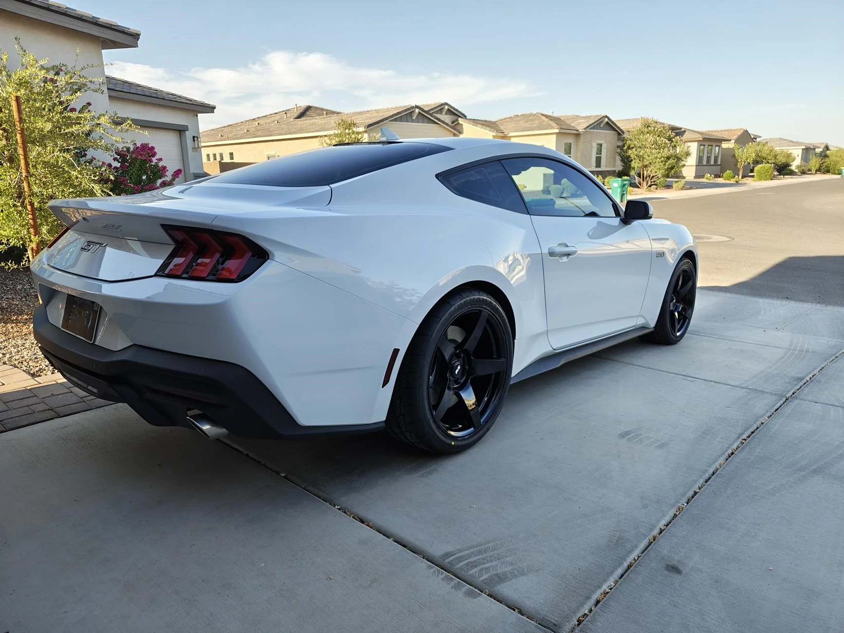S650 Mustang Cool Daily Random S650 Mustang Pics -- Post Yours! 📸 1000000089