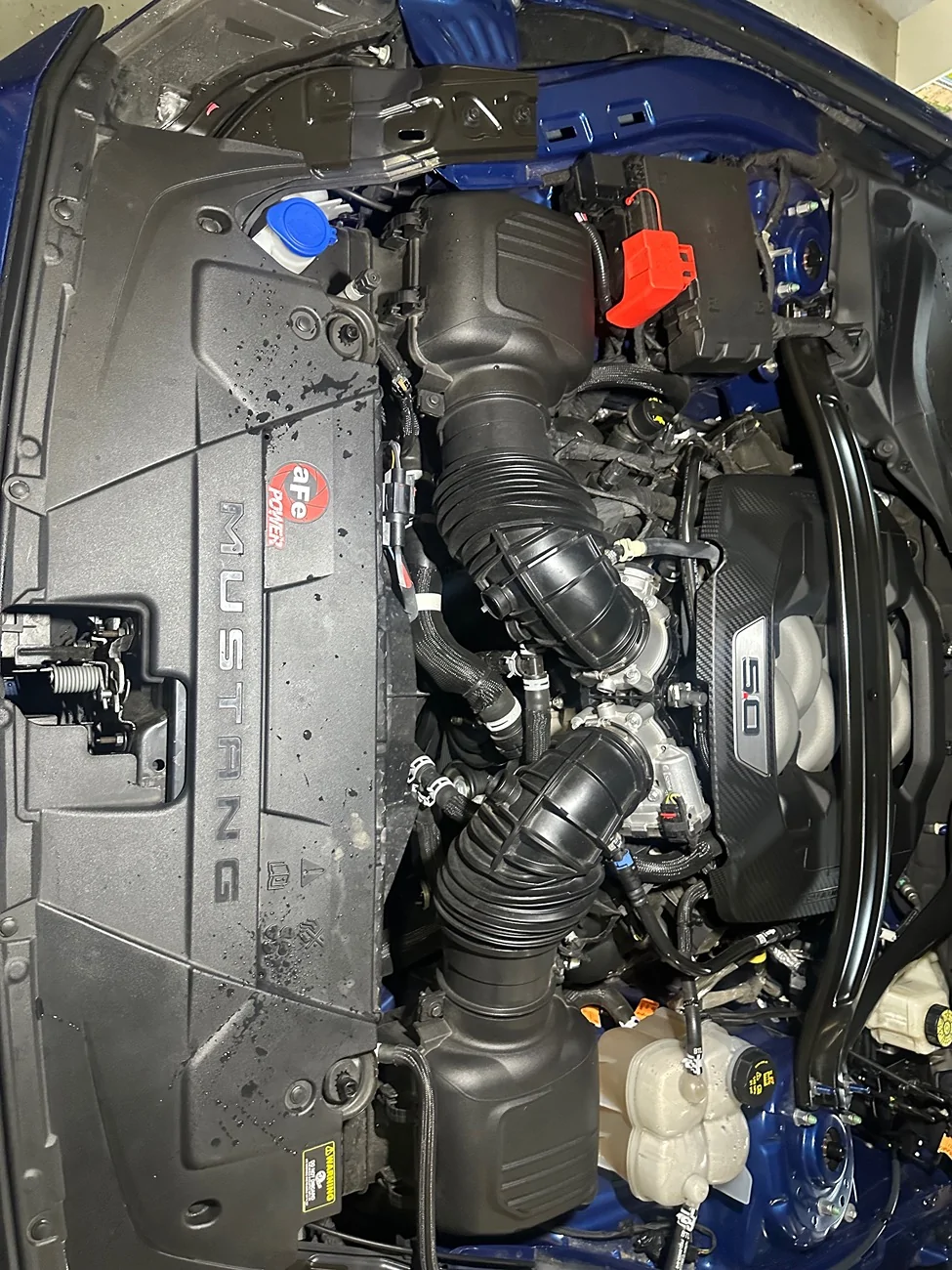 S650 Mustang Install of Shelby style hood vent with thermal pics IMG_2535