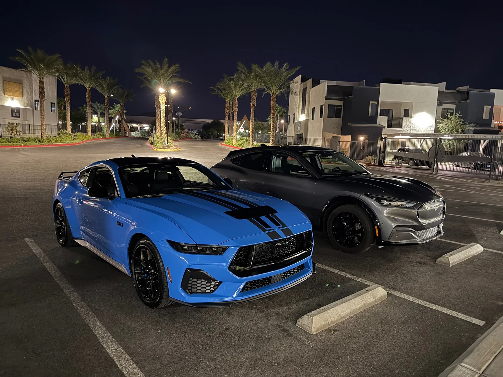 S650 Mustang Introductions & Welcome Thread 👋 IMG_0173