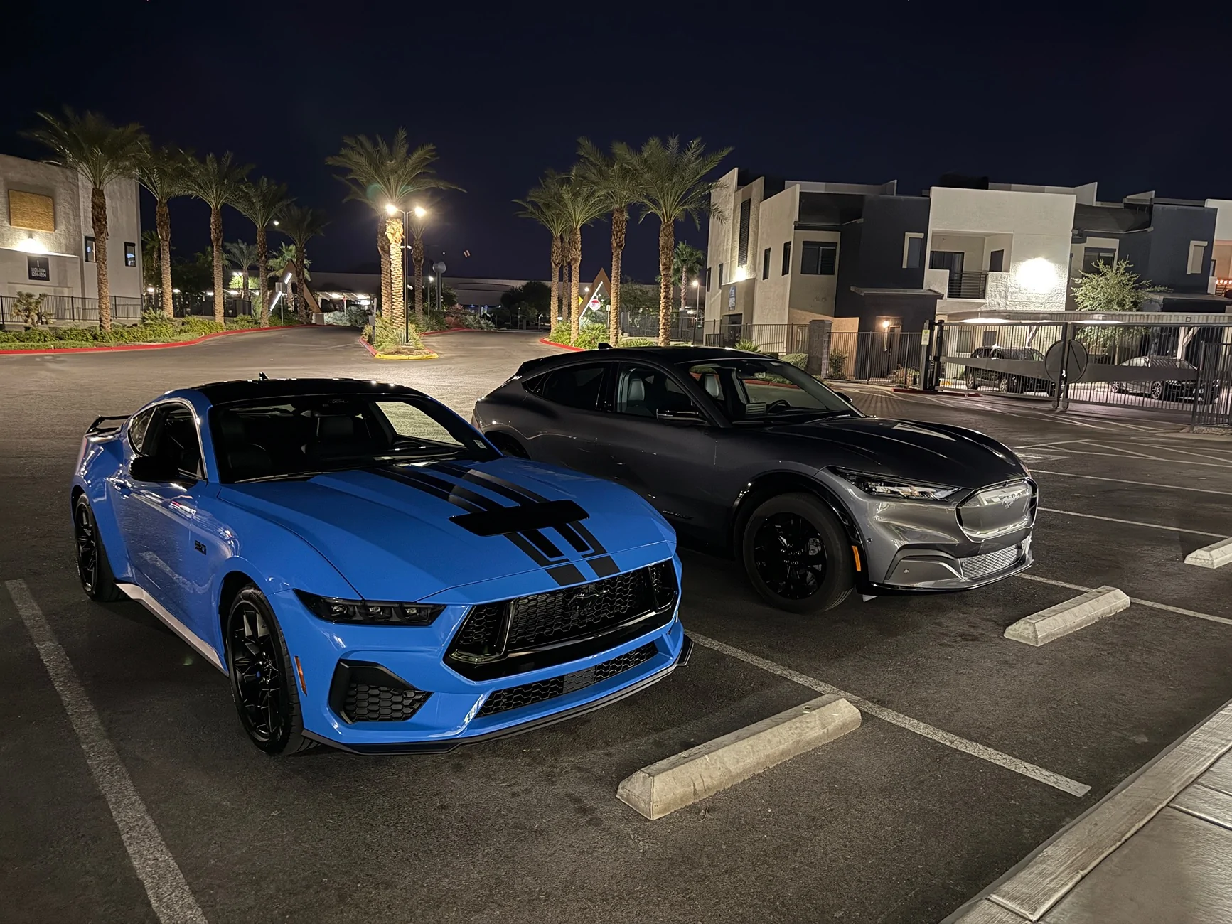 S650 Mustang Introductions & Welcome Thread 👋 IMG_0172