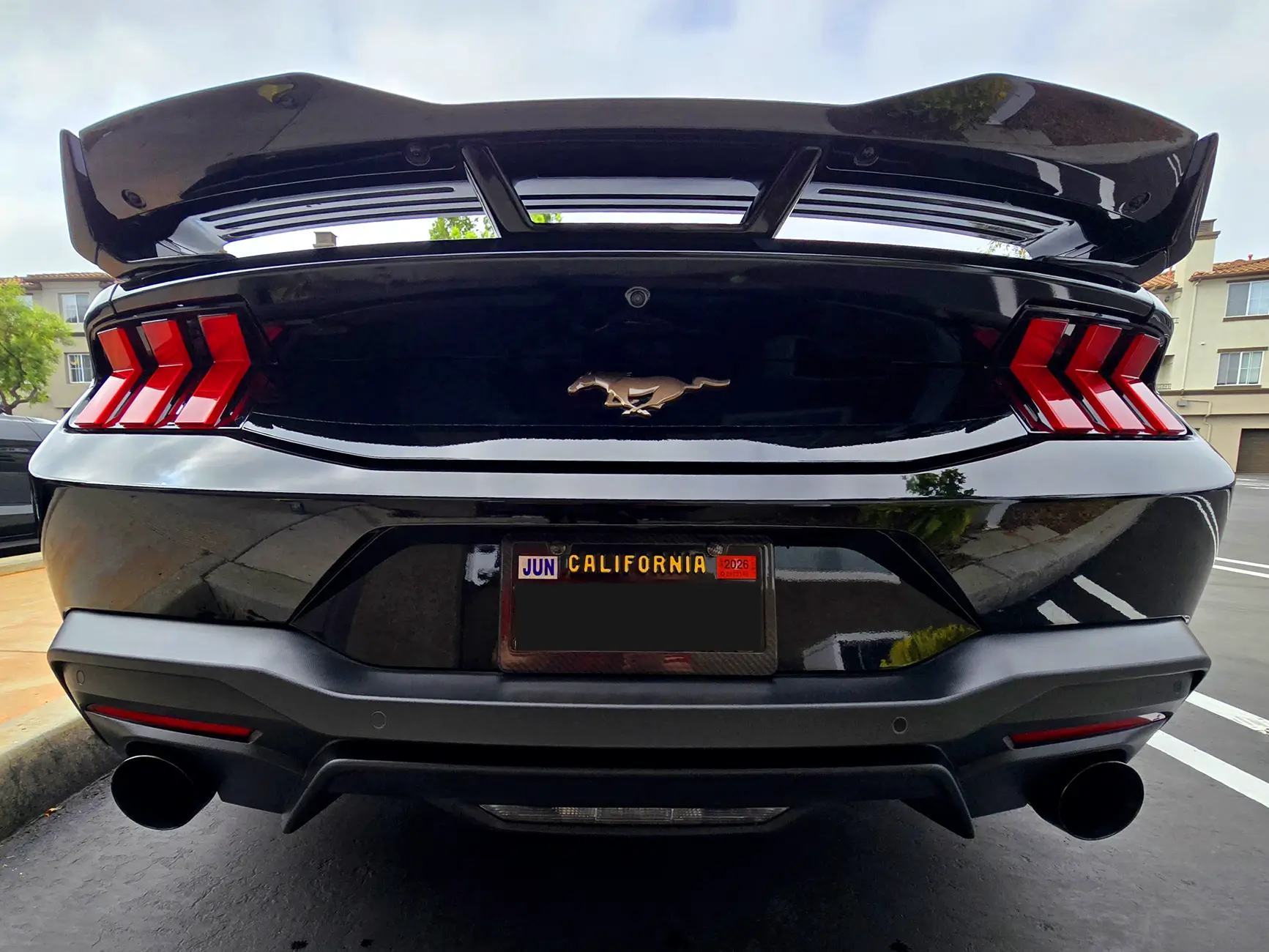 S650 Mustang Viking's Black EcoBeast Build 20250720_093642(1)