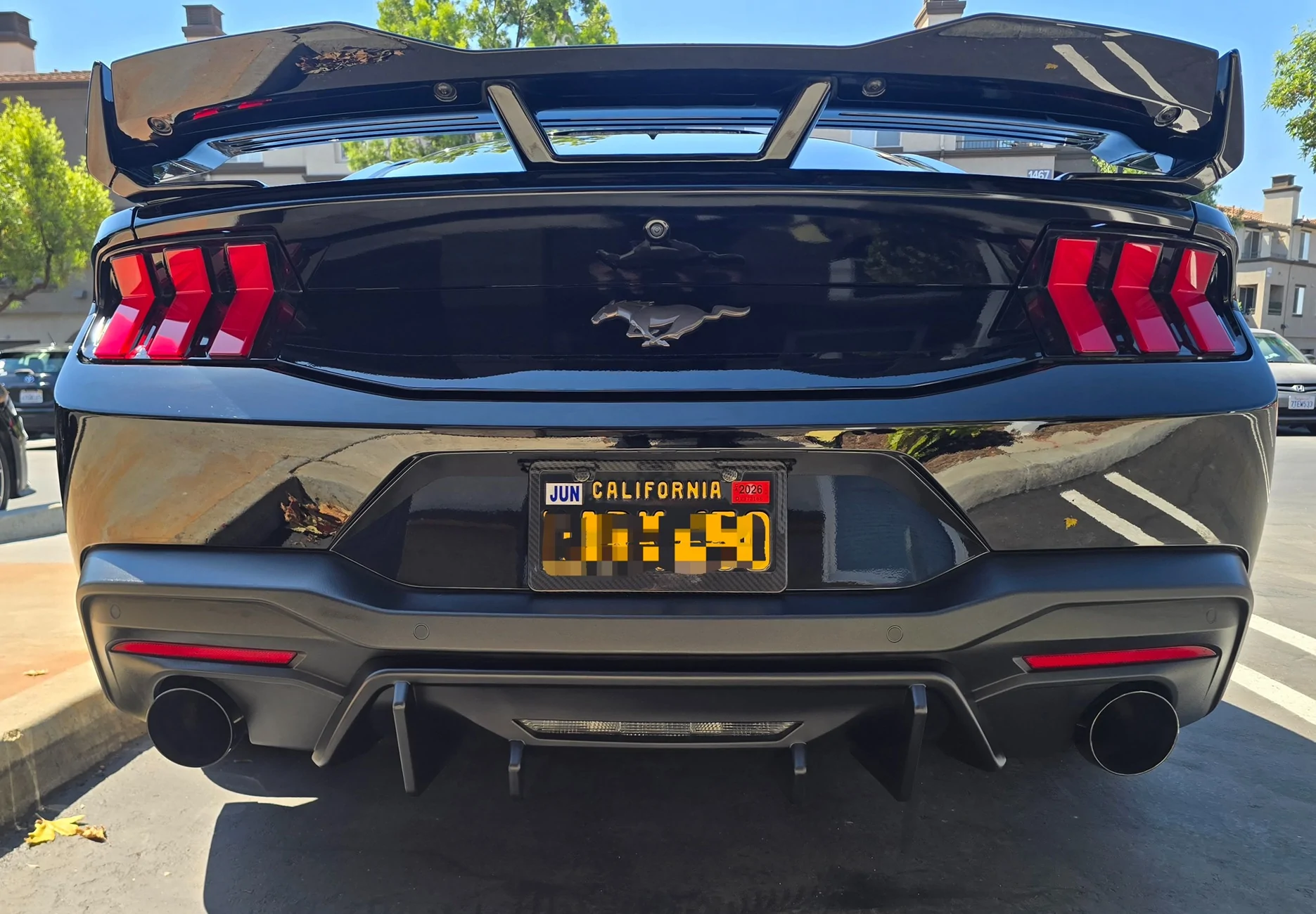 S650 Mustang Viking's Black EcoBeast Build 20250810_110819(1)
