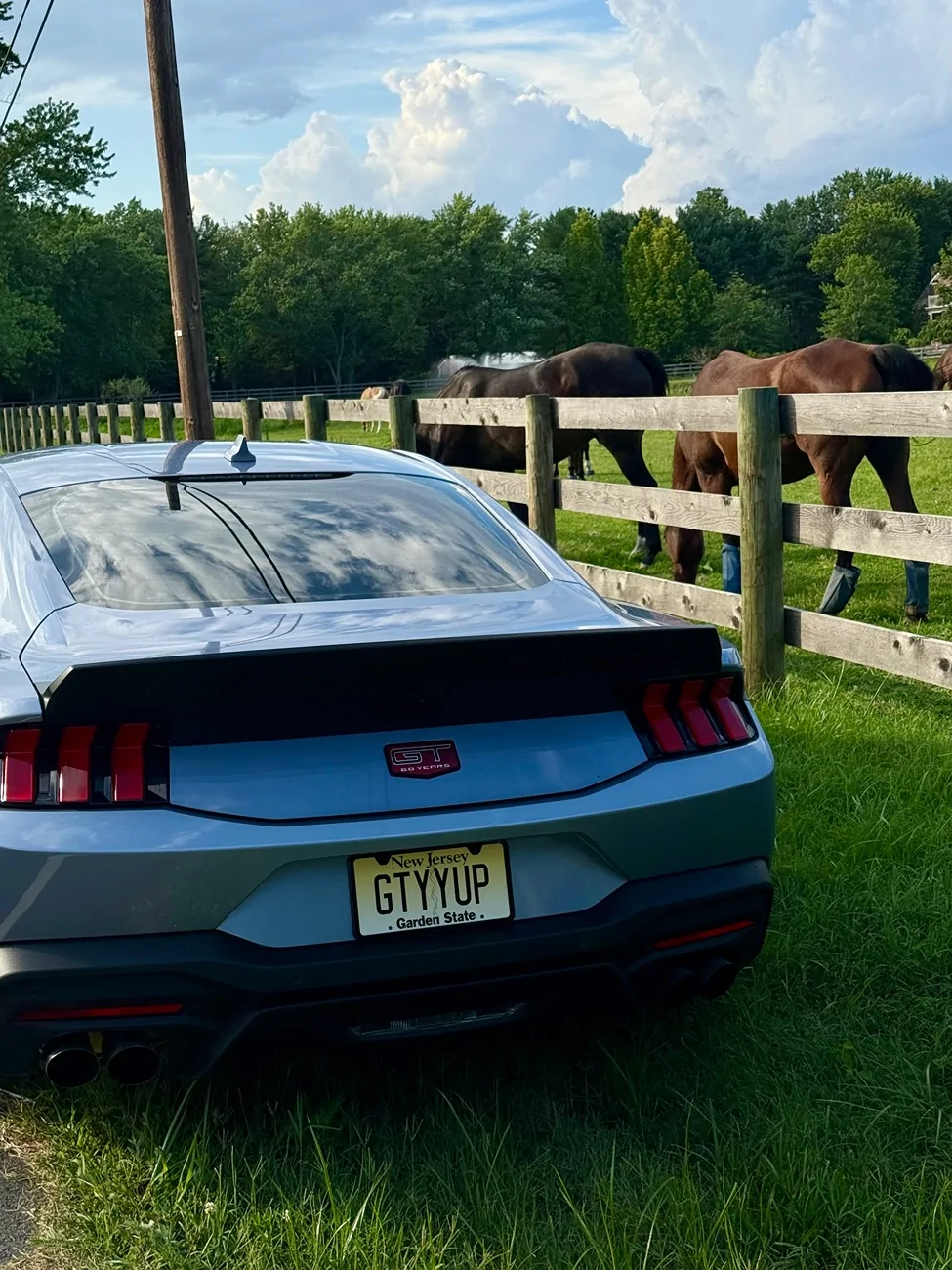 S650 Mustang Just Added RTR Rear Spoiler and… IMG_1229