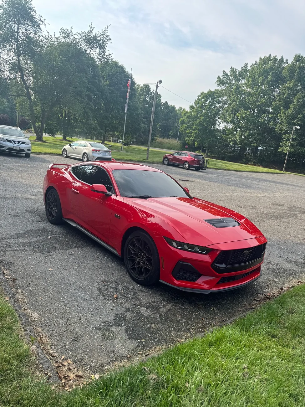 S650 Mustang Bronze Appearance Packages? IMG_3458