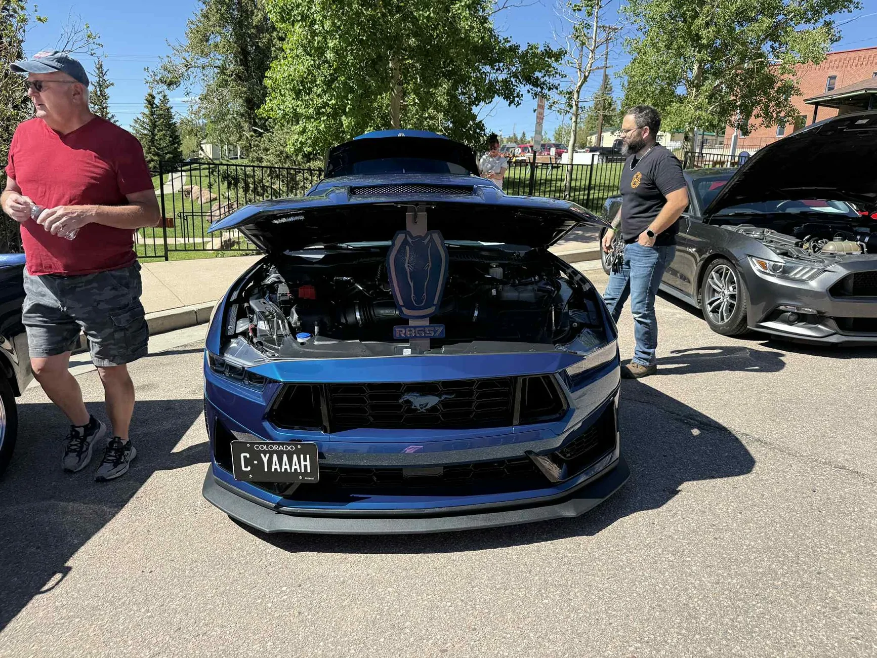 S650 Mustang DH Front Bumper - Unpainted Portions Messenger_creation_C3537EE4-EA8F-4584-98BF-FACAF1B939AE