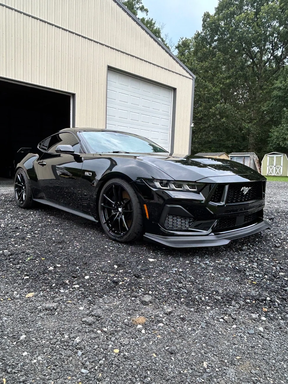 S650 Mustang Cool Daily Random S650 Mustang Pics -- Post Yours! 📸 IMG_3674