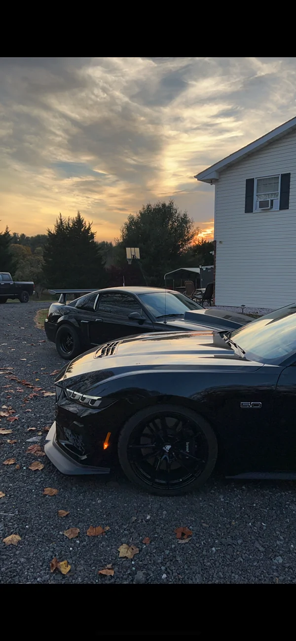S650 Mustang Cool Daily Random S650 Mustang Pics -- Post Yours! 📸 IMG_3168