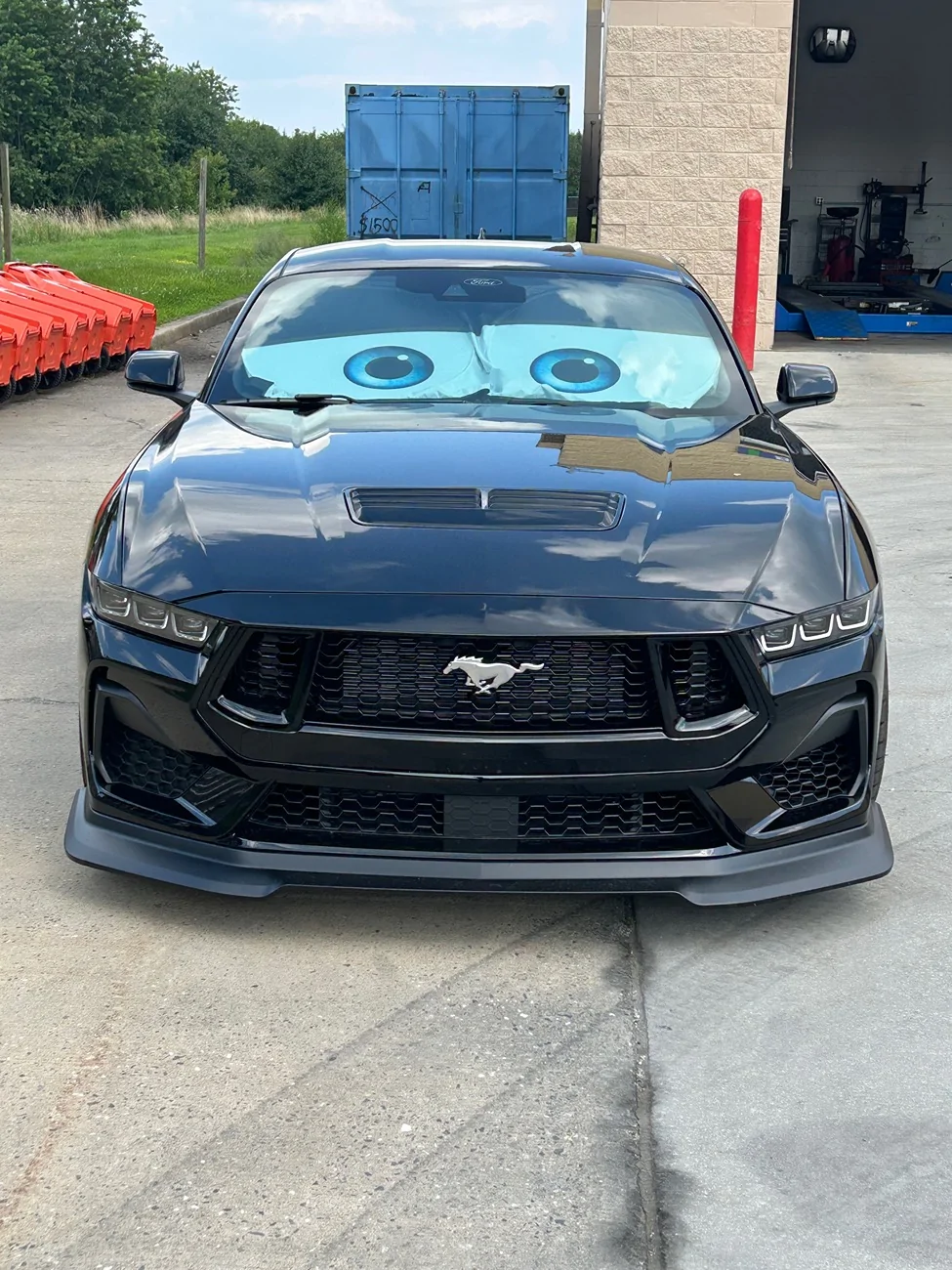 S650 Mustang Cool Daily Random S650 Mustang Pics -- Post Yours! 📸 IMG_3531