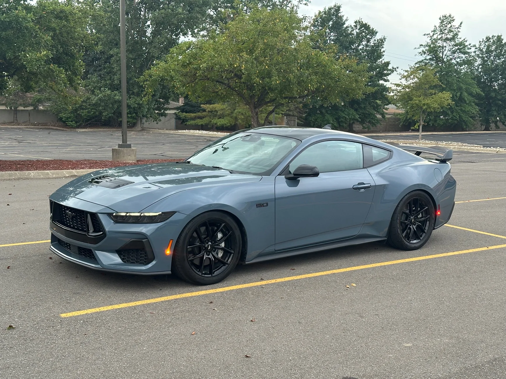 S650 Mustang Lets see your lowered S650! IMG_3616