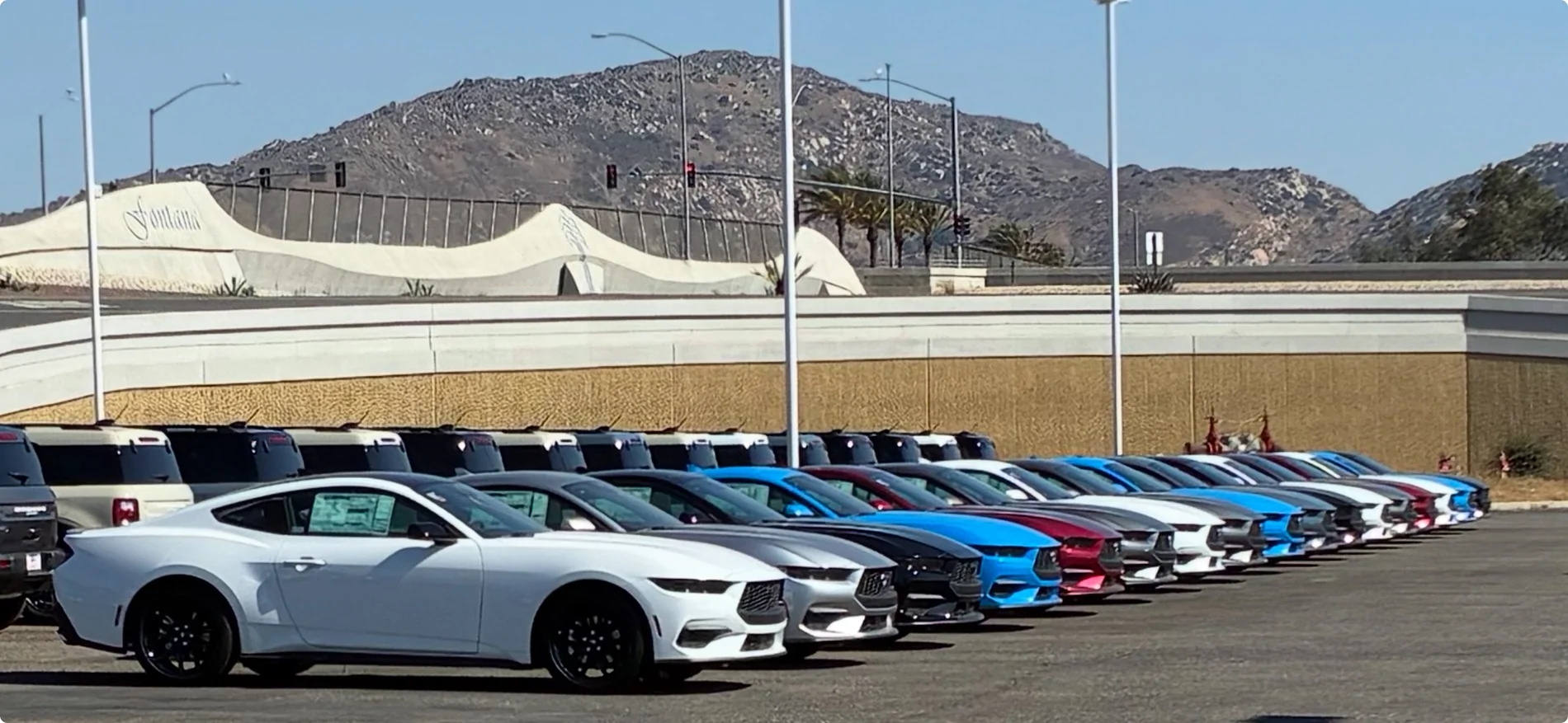 S650 Mustang Cool Daily Random S650 Mustang Pics -- Post Yours! 📸 View recent photos
