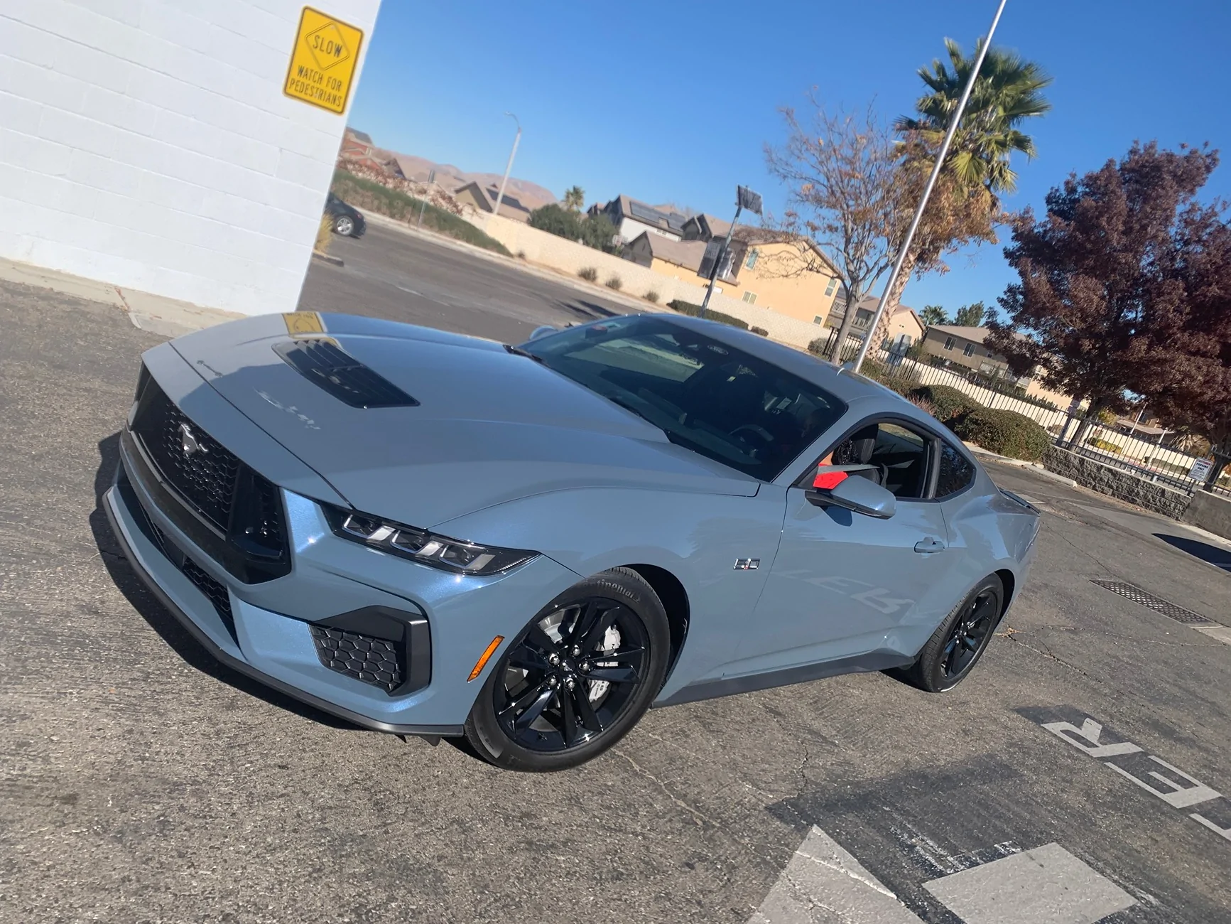 S650 Mustang Cool Daily Random S650 Mustang Pics -- Post Yours! 📸 IMG_8416