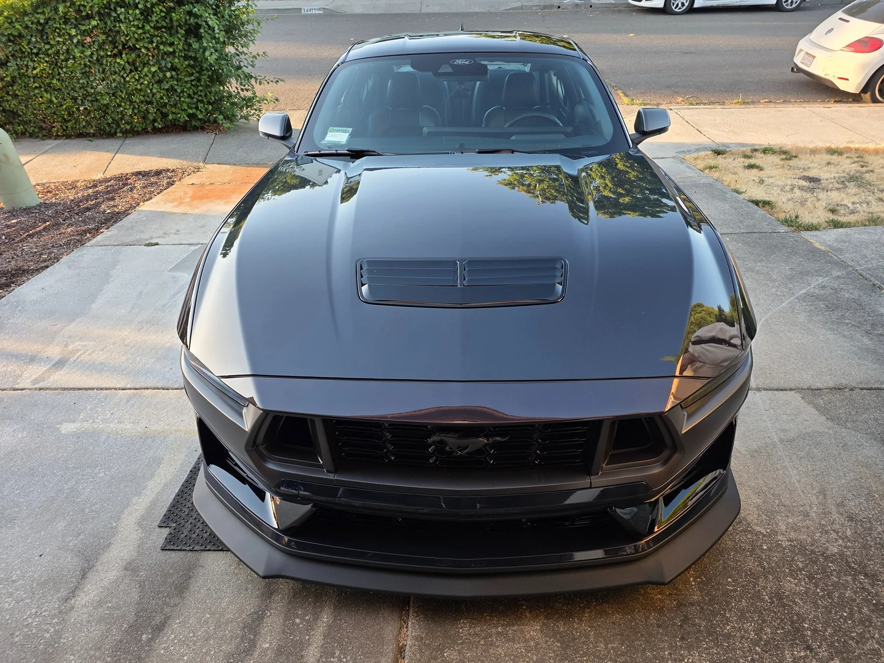 S650 Mustang Introductions & Welcome Thread 👋 20250808_193301