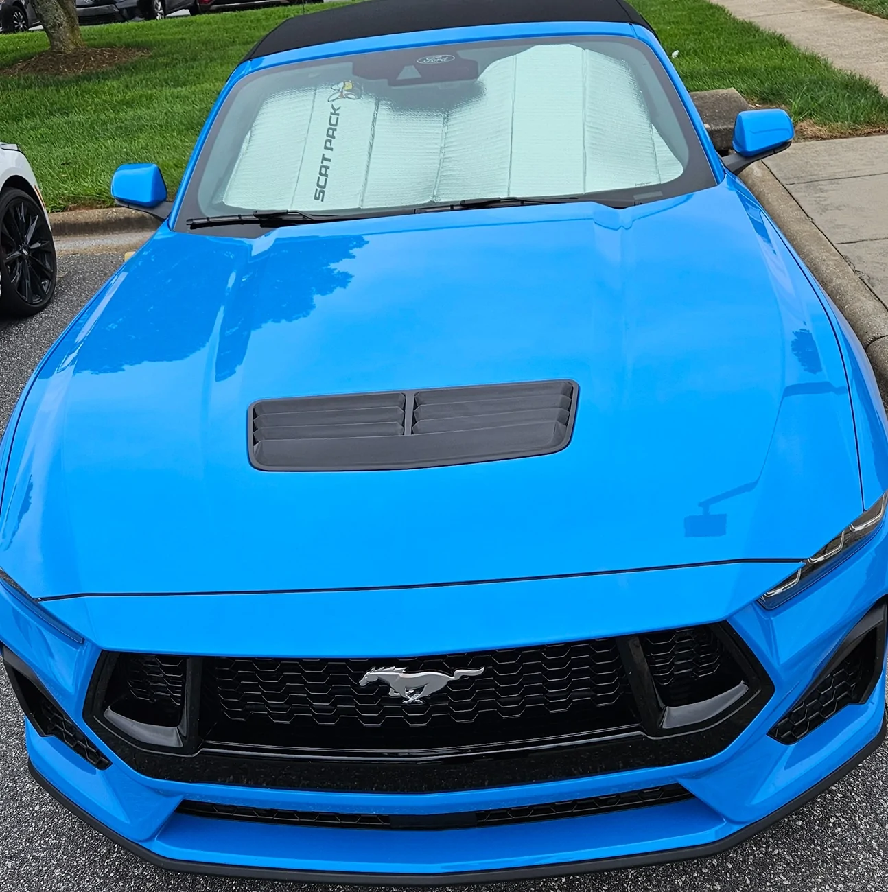 S650 Mustang Funny true story 20250819_104240