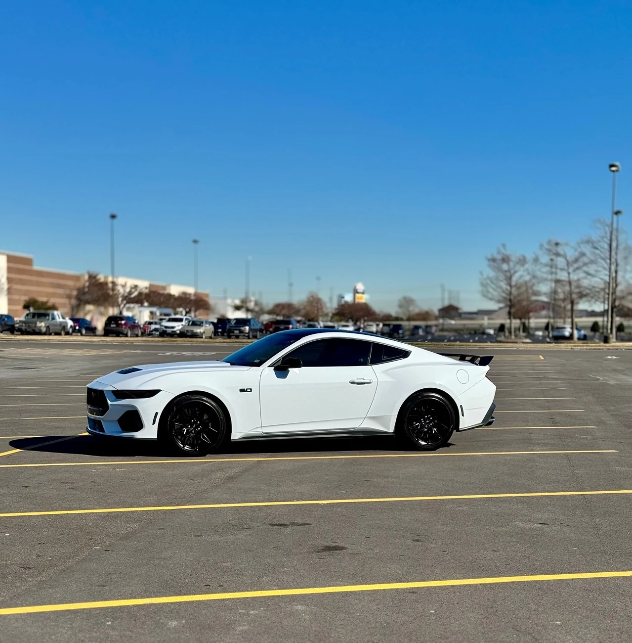 S650 Mustang Stuck between White or Silver IMG_4673