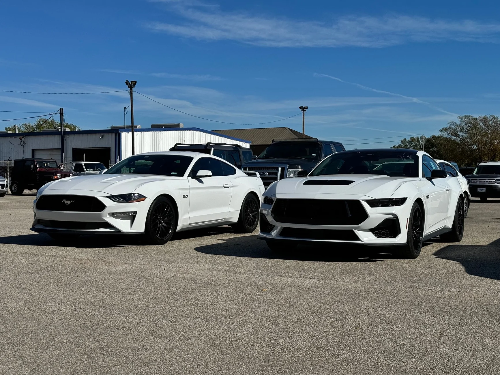 S650 Mustang Stuck between White or Silver IMG_2895