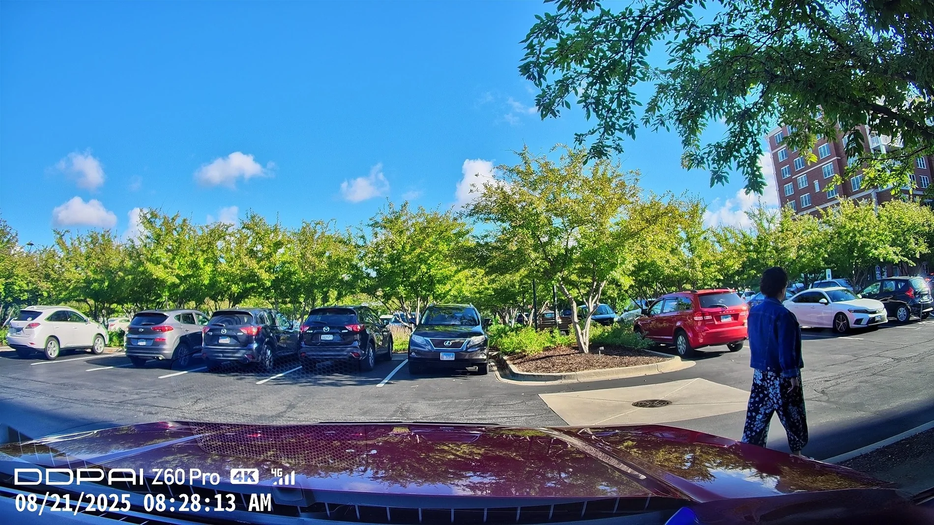 S650 Mustang The Dash cam thread 1000009399