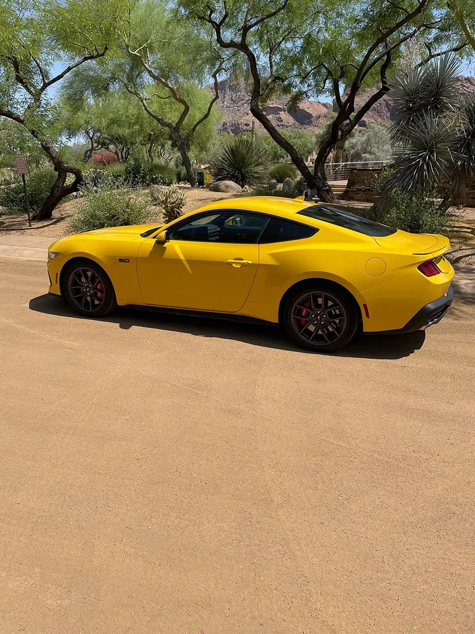 S650 Mustang Bronze Appearance Packages? 1755794732483-3x