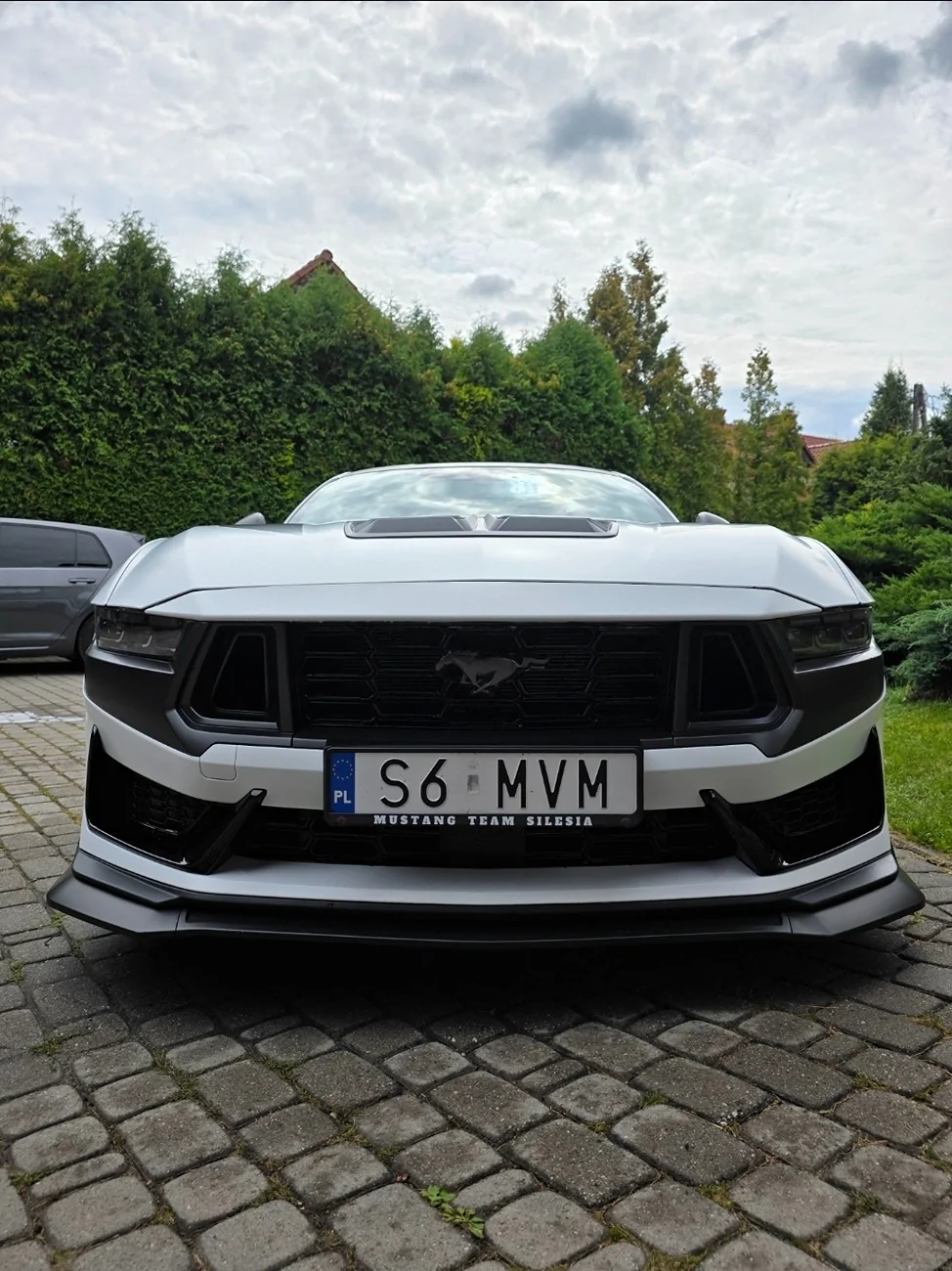 S650 Mustang Fender flares for DH Screenshot_20250823_170306_Gallery