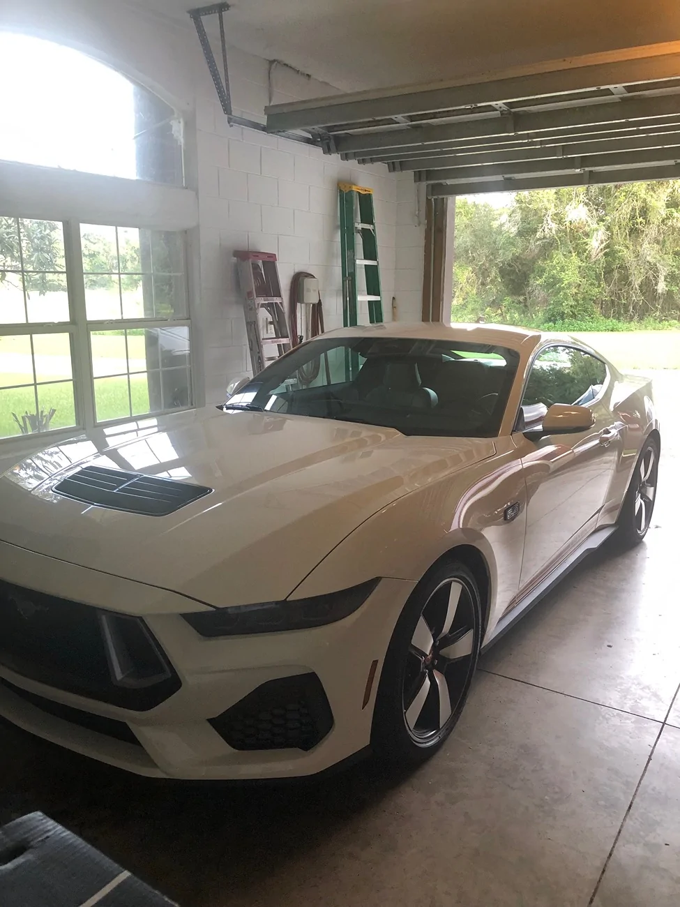 S650 Mustang Unofficial 2025 60th Anniversary Edition Mustang Registry IMG_0885