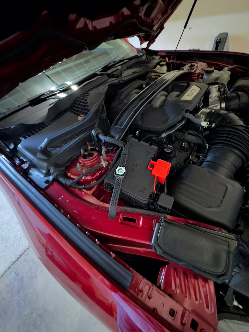 S650 Mustang Modem check IMG_4770