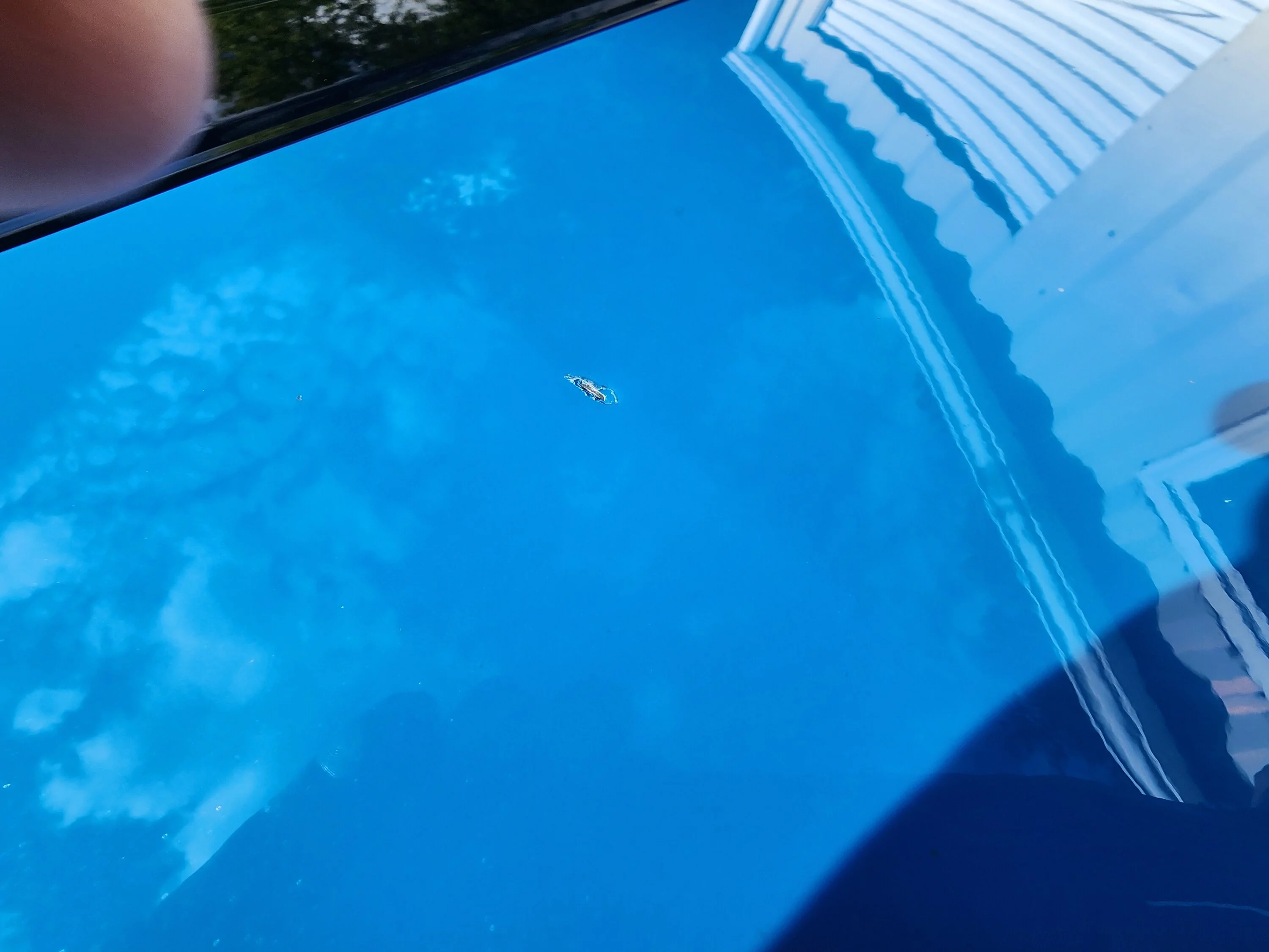 S650 Mustang Bummer of a rock chip/dent 20250822_171500