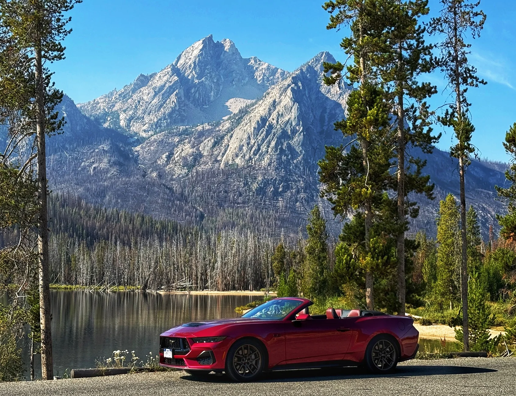 S650 Mustang Cool Daily Random S650 Mustang Pics -- Post Yours! 📸 IMG_6851