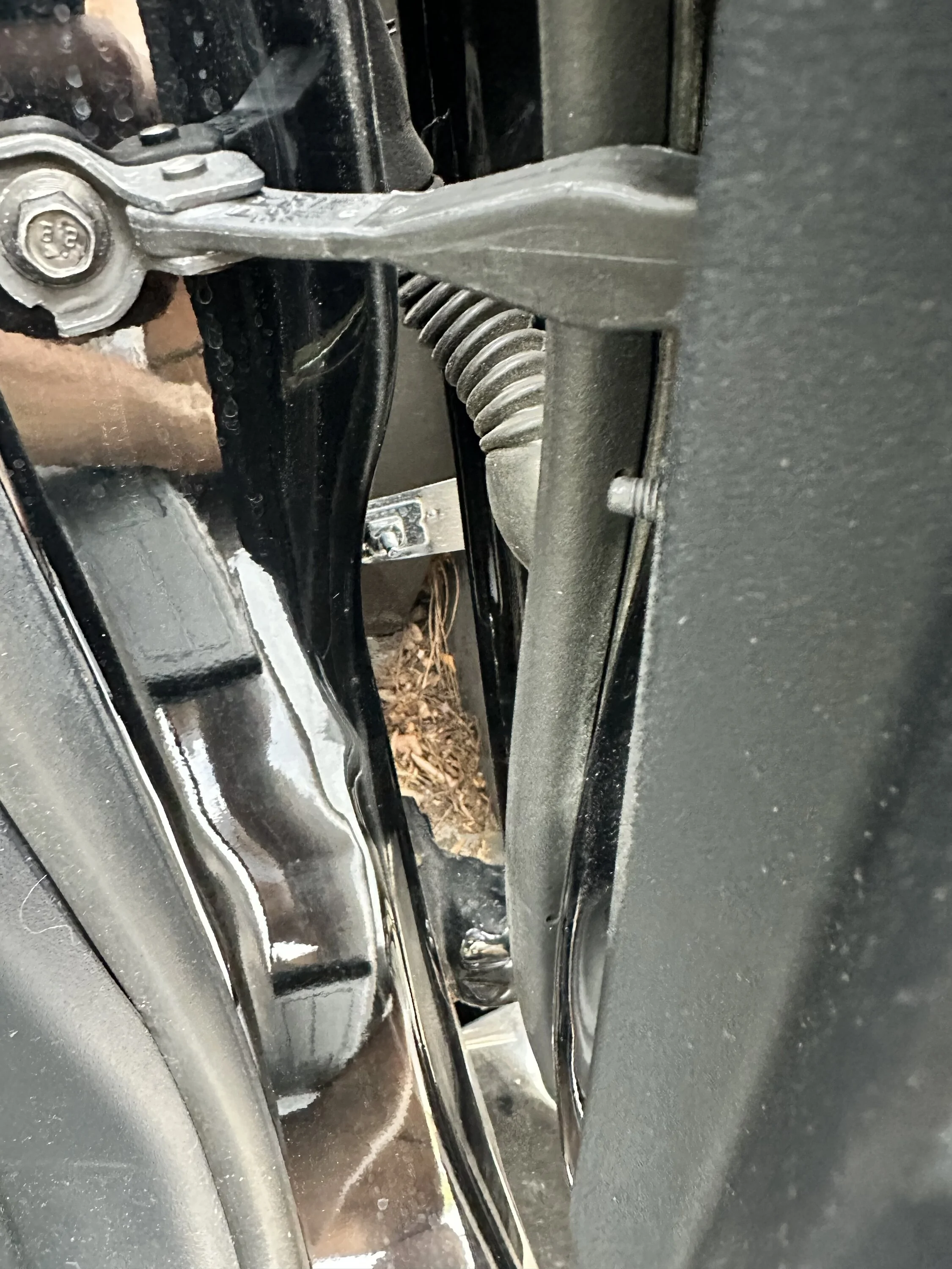 S650 Mustang Question about dirt gathering between car frame IMG_8022