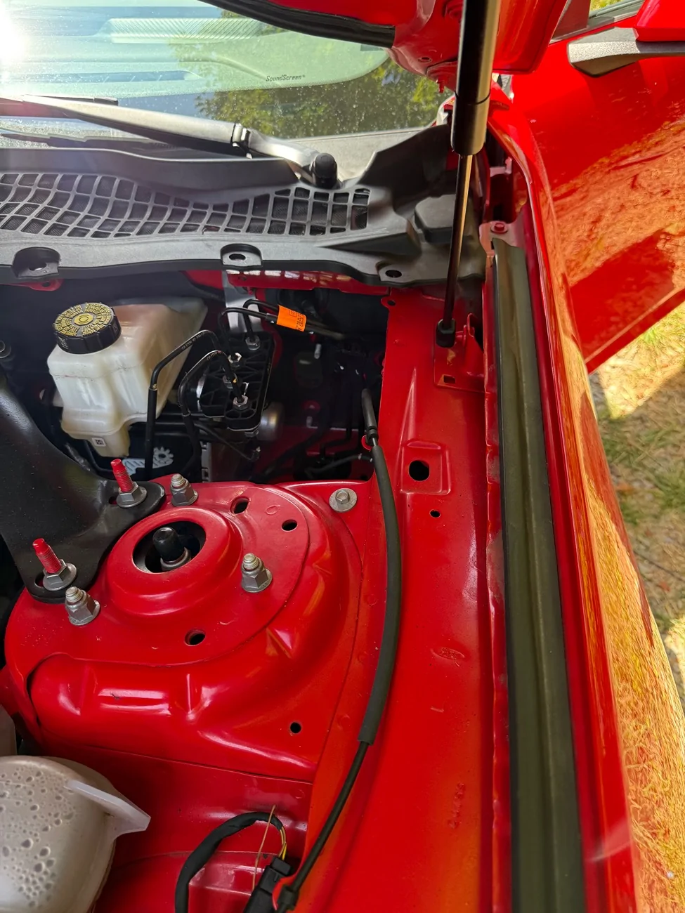 S650 Mustang Red Rocket’s Full S650 Mustang Stereo Project (9 Speakers) IMG_2084
