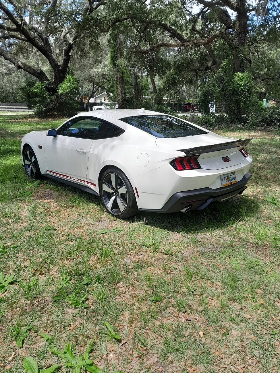 S650 Mustang Show me your spoiler! 1000001072