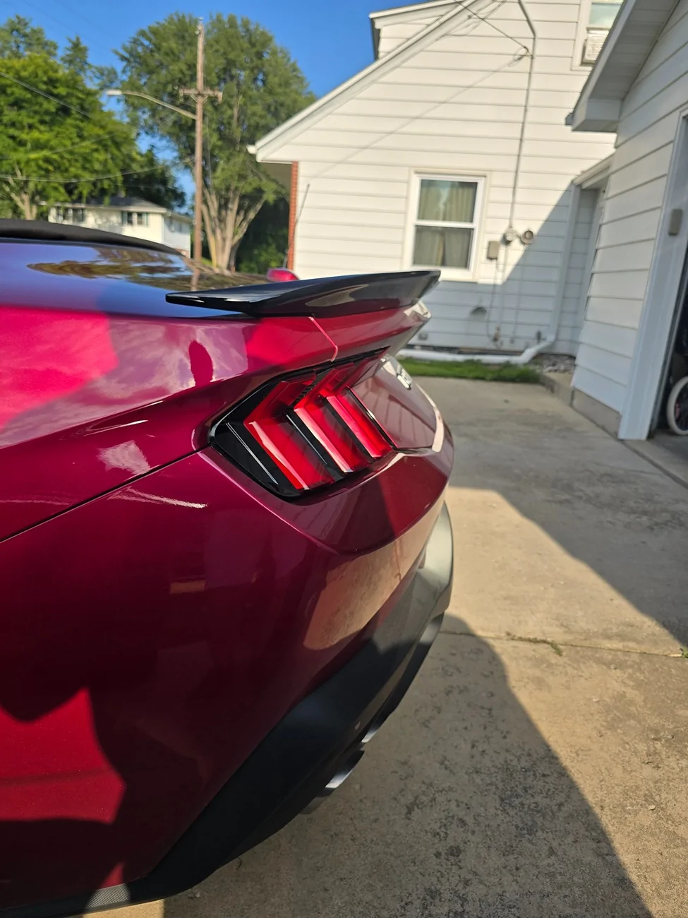 S650 Mustang What did you do to your S650 Mustang today?? 🙋🏻‍♂️ 20250901_170150