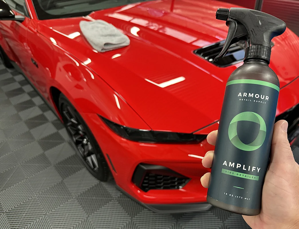 S650 Mustang Shine/Protect Chemicals IMG-2413