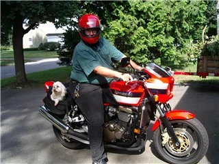 S650 Mustang What was your dog’s first car ride like? KC & Neggi