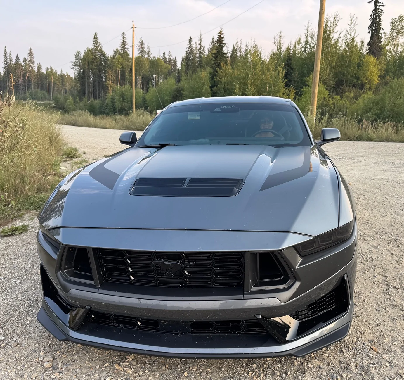 S650 Mustang Cool Daily Random S650 Mustang Pics -- Post Yours! 📸 IMG_8628