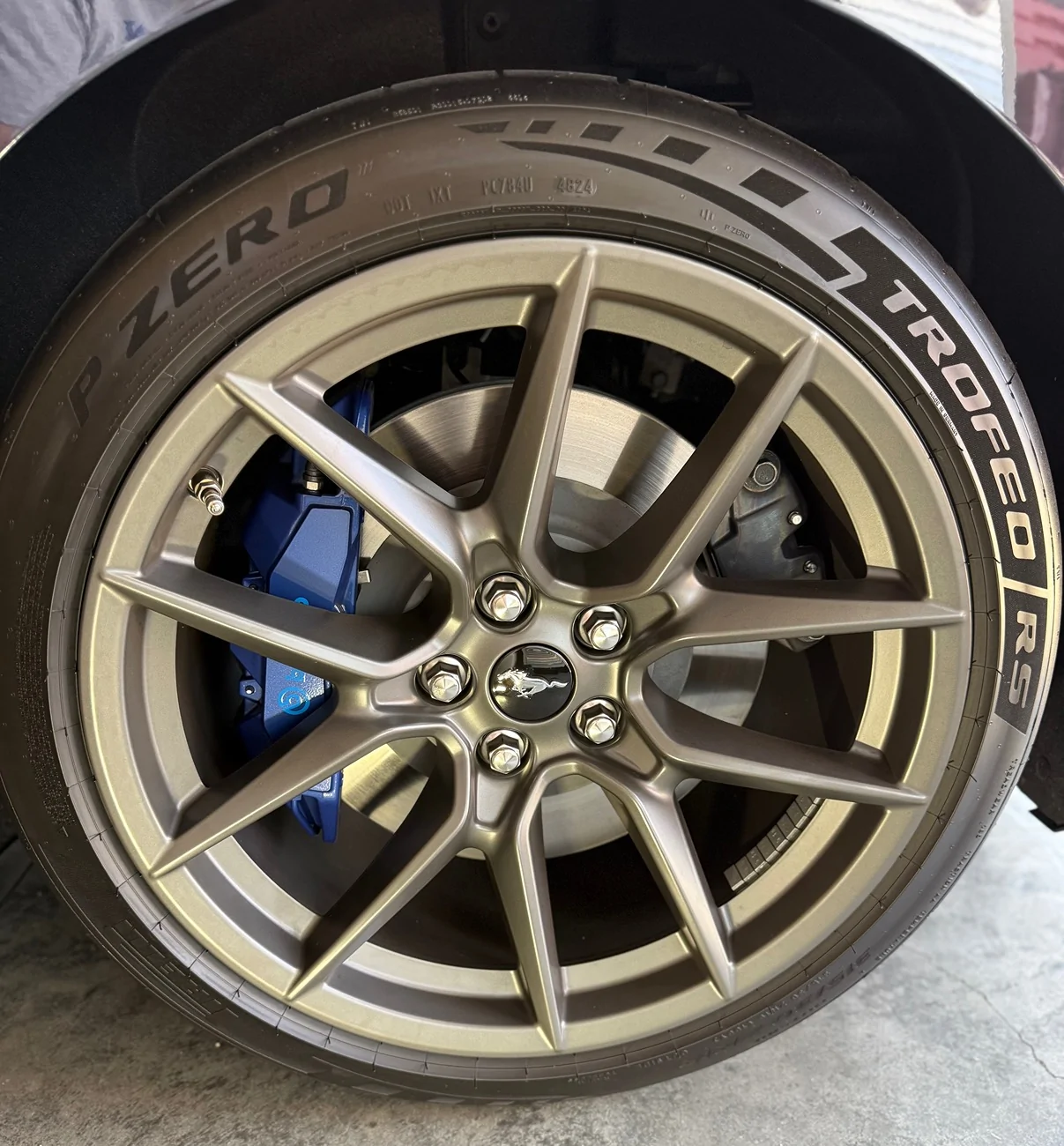 S650 Mustang Lowered Sale Price, 4 very new Track TROFEOs to 500.00 OBO. Spring is coming. IMG_3907