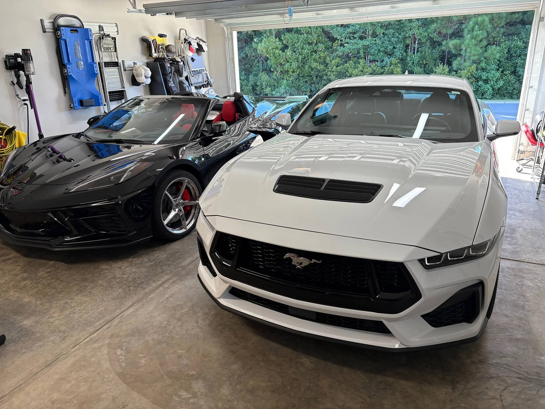 S650 Mustang Introductions & Welcome Thread 👋 IMG_5472