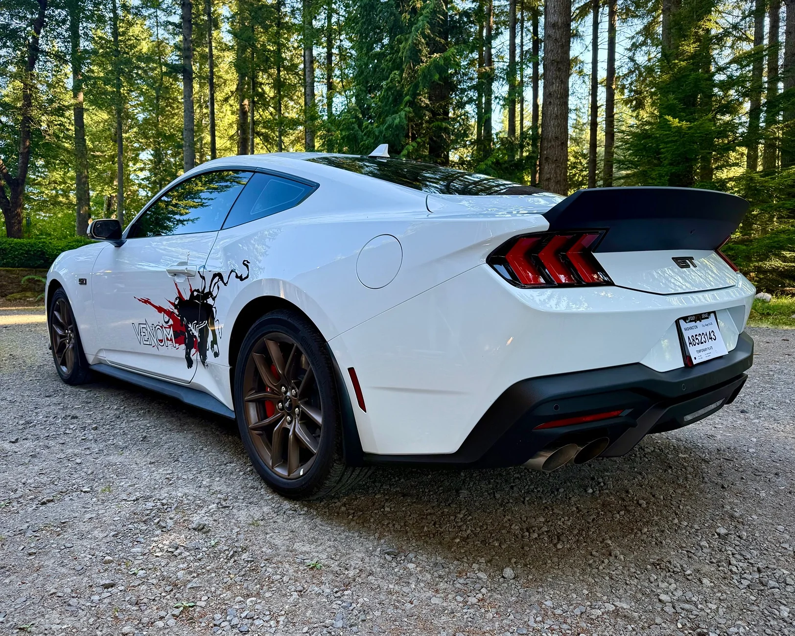 S650 Mustang Show me your spoiler! IMG_5892