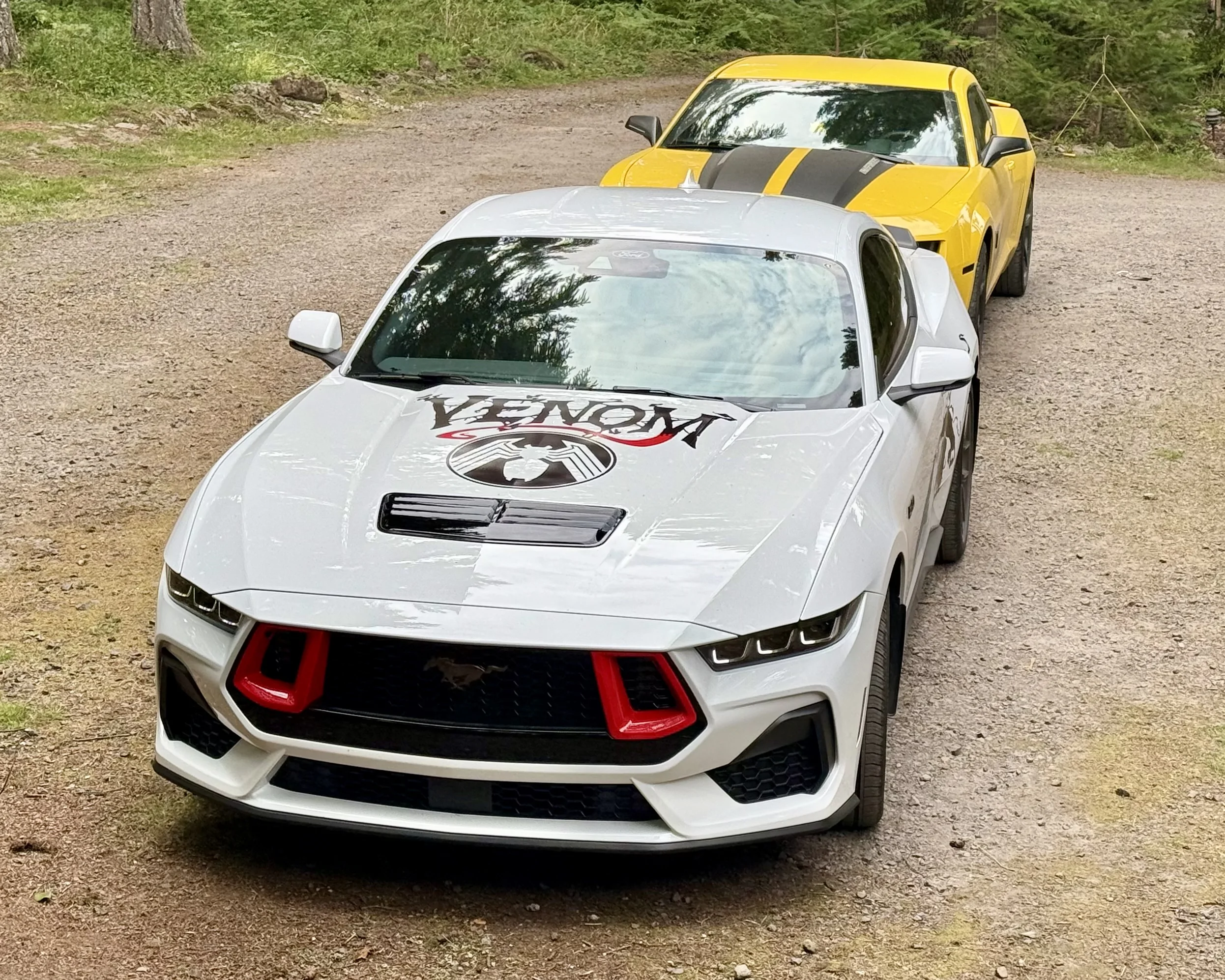 S650 Mustang Opinions on grille inserts IMG_5921