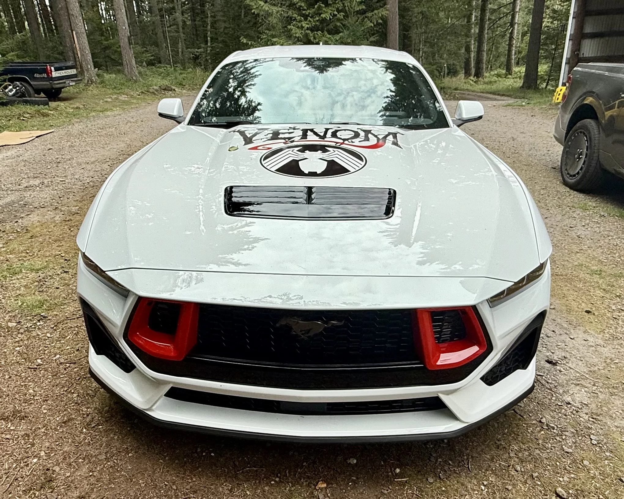 S650 Mustang Opinions on grille inserts IMG_5913