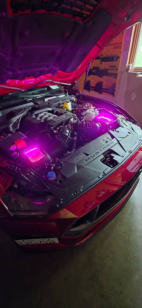 S650 Mustang Roush Cold Air Intakes 2024-2025 Mustang GT and DH ead1f692-e2d7-4da6-8486-e9c700aaa421-1_all_26515