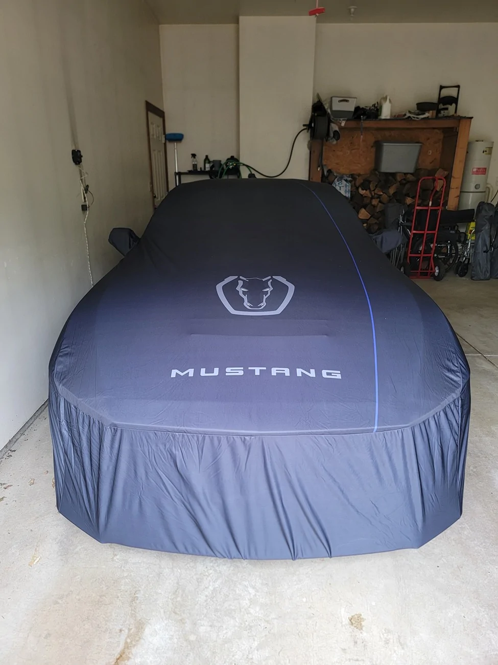 S650 Mustang Dark Horse Indoor Cover/Cargo Area Protector/Redline Subwoofer Package Deal 1757093975844-il