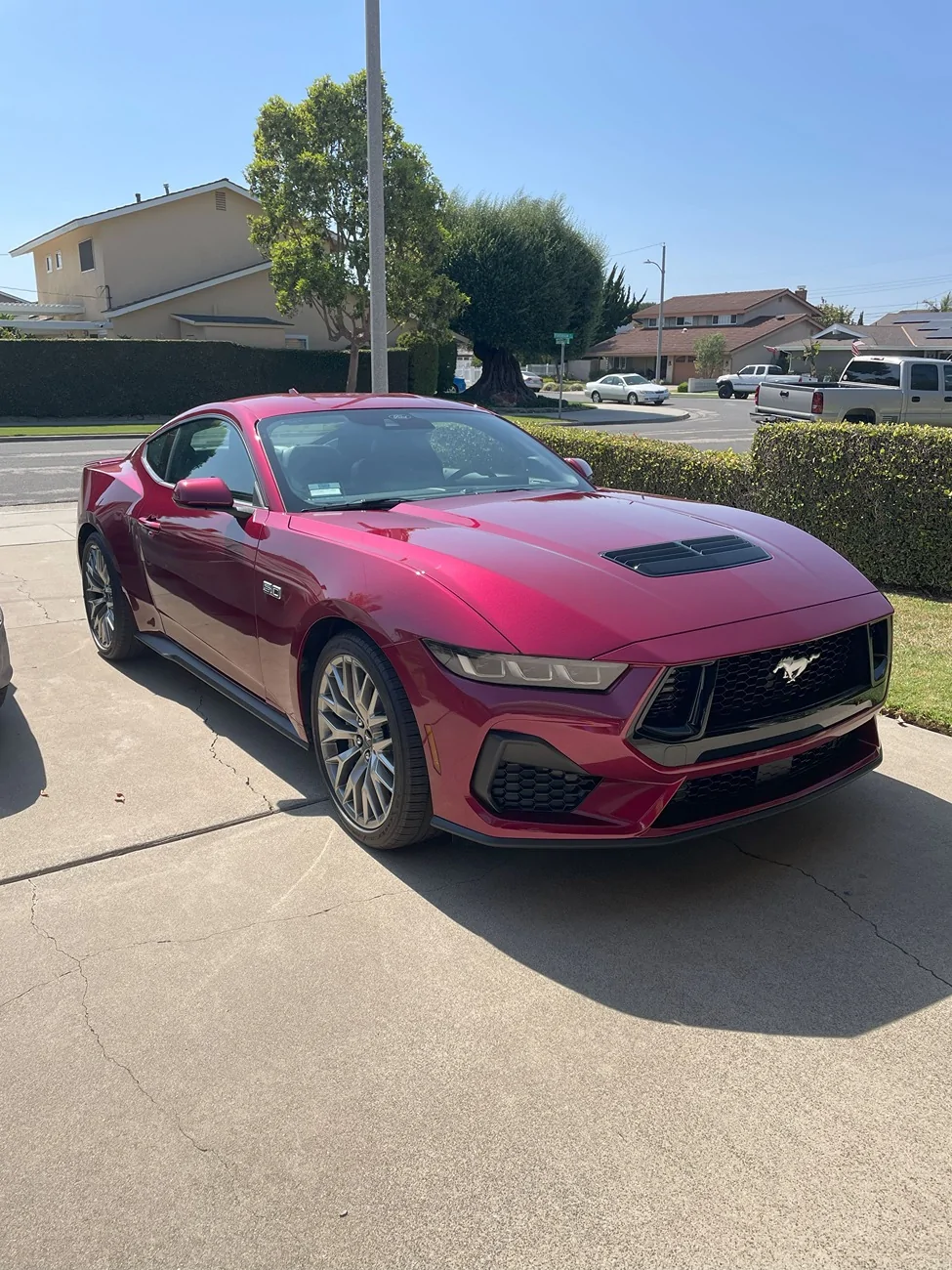 S650 Mustang Officially Checking In – MMM (Molten Magnta in Melbourne) Mustang