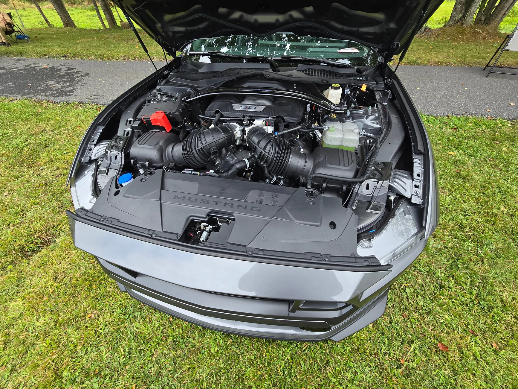S650 Mustang Introductions & Welcome Thread 👋 20250906_123343