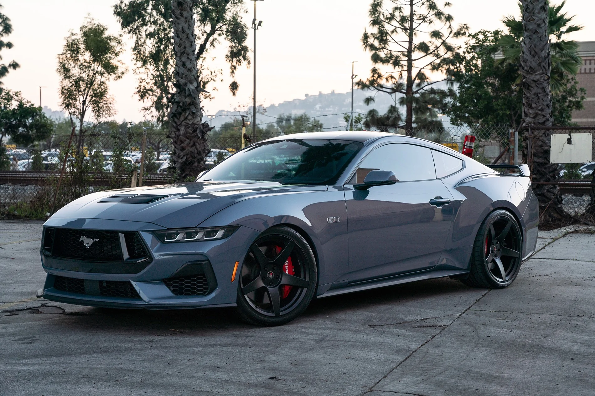 S650 Mustang Post your aftermarket wheels! (HELP ME CHOOSE)! DSC06845